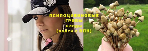 марки nbome Каменка