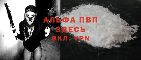 ПСИЛОЦИБИНОВЫЕ ГРИБЫ Каменногорск