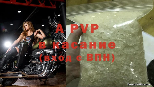ПСИЛОЦИБИНОВЫЕ ГРИБЫ Каменногорск